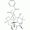 10-脫乙?；涂ǘ?III CAS 32981-86-5